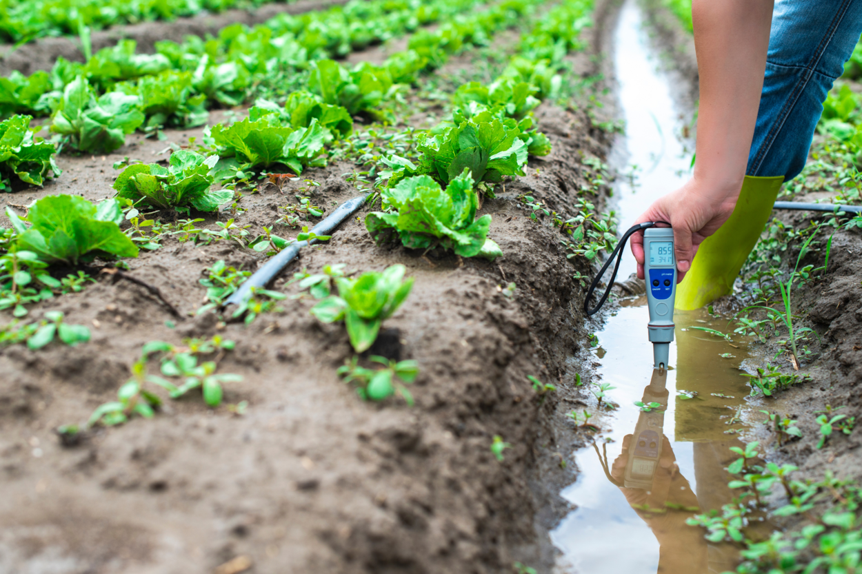 Groeiplan Watertechnologie