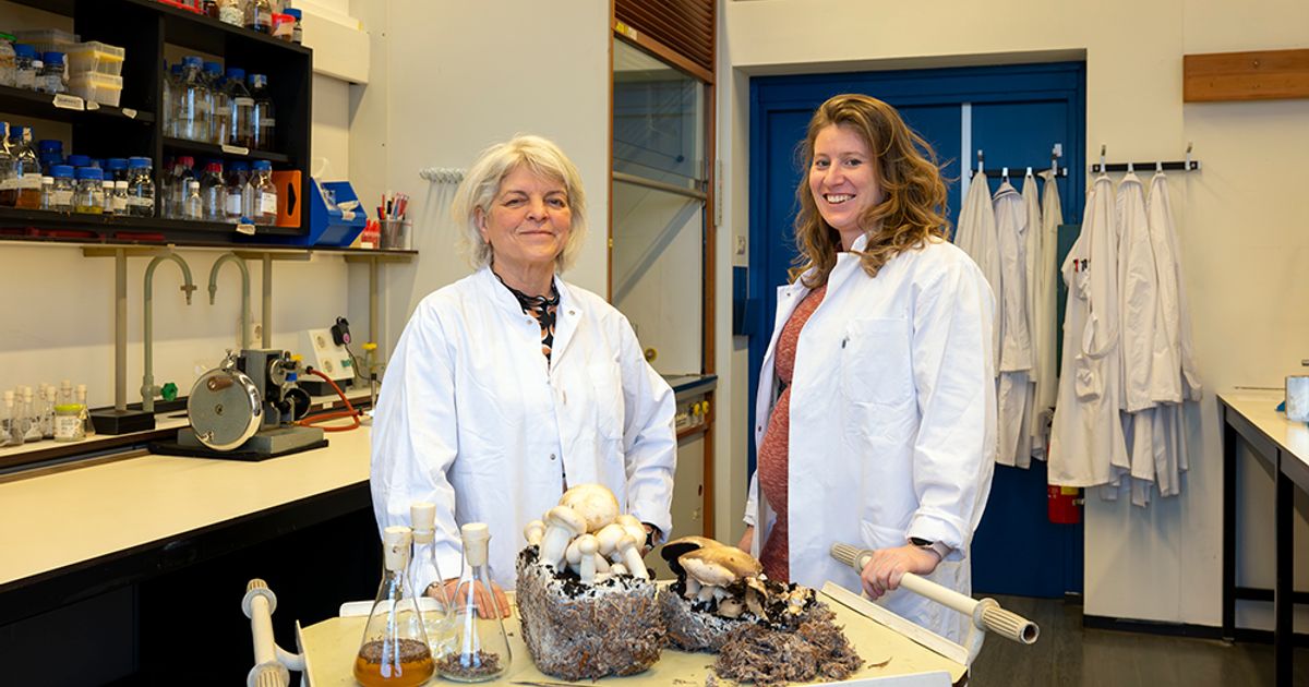 PhotonDelta: “Een goede voedingsbodem voor de nieuwe fotonische